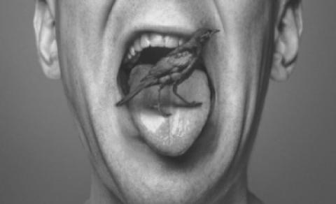 Jaki to język? Odgadnij po jednym wyrazie!