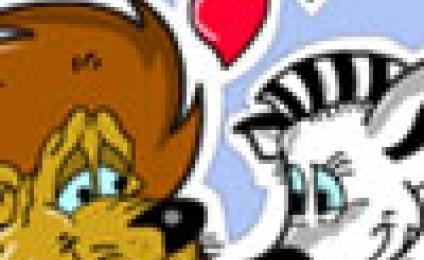 Zakochane zwierzęta