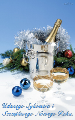 Udanego Sylwestra i Szczęśliwego Nowego Roku