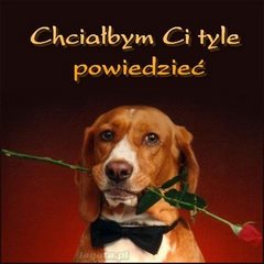 Chciałbym Ci tyle powiedzieć