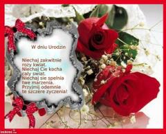 W dniu urodzin - róża