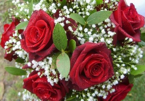 Róże w przybraniu