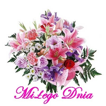 Miłego Dnia