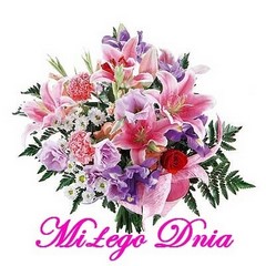 Miłego Dnia