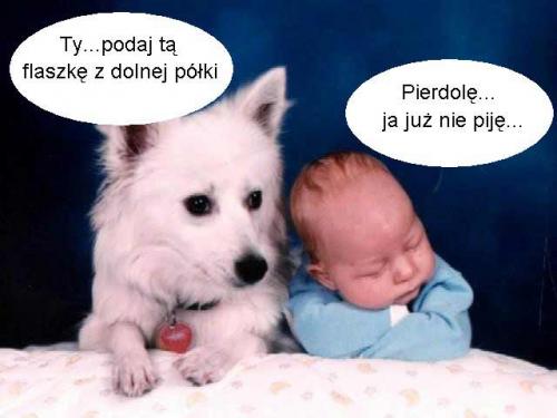Podaj tą flaszkę z dolnej półki...