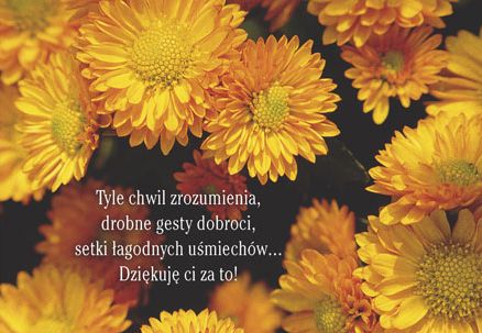 Tyle chwil zrozumienia...
