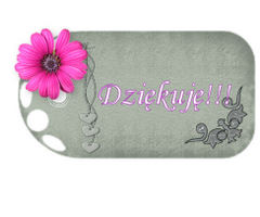 Dziękuję !