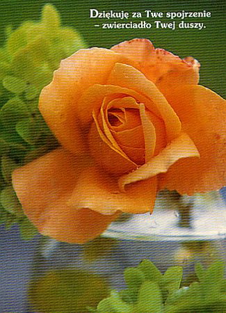 Dziękuję za Twe spojrzenie