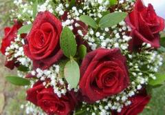 Czerwone róże z przybraniem