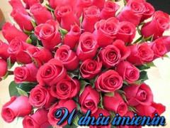 W dniu imienin dużo róż