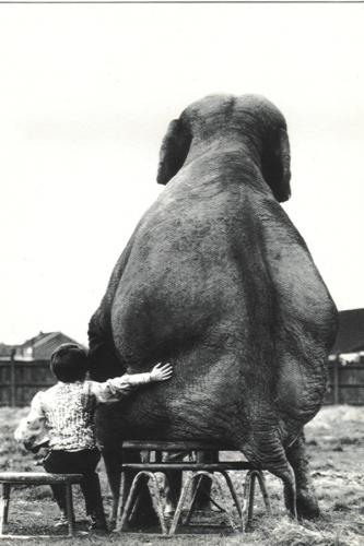 Chodź mój przyjacielu