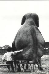 Chodź mój przyjacielu