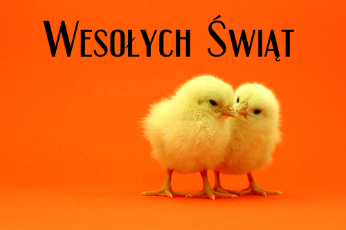 Wesołych Świąt :)