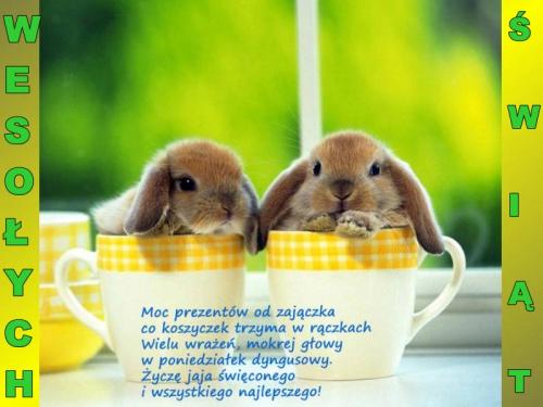 Moc prezentów od zajączka...