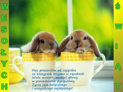 Moc prezentów od zajączka...