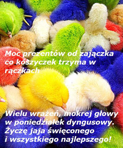 Moc prezentów od zajączka...