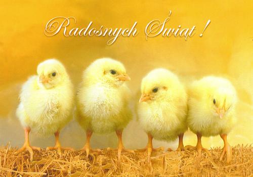Radosnych Świąt !