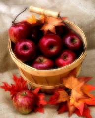 Jabłka w wiaderku