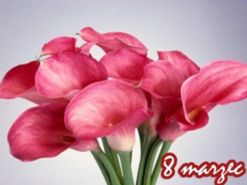 Kwiatki na dzień kobiet