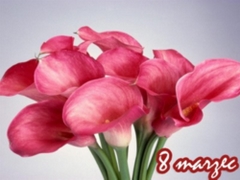 Kwiatki na dzień kobiet