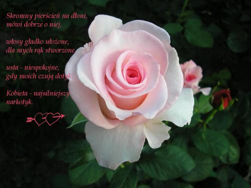 Skromny pierścień na dłoni...