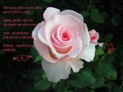 Skromny pierścień na dłoni...