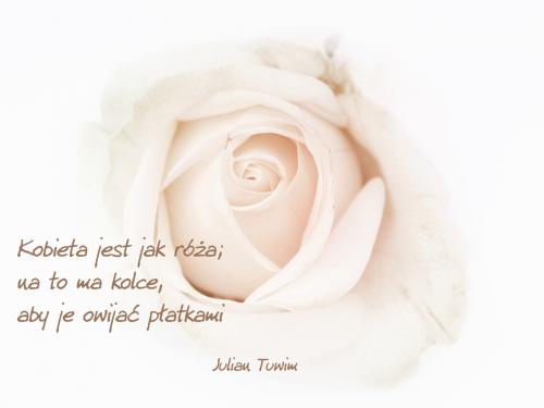 Kobieta jest jak róża...
