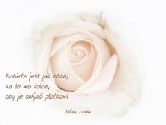 Kobieta jest jak róża...
