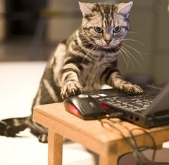 Zaraz Ci coś wyślę