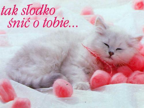 Tak słodko śnić o Tobie