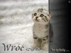 Wróć szybko bo tęsknię...