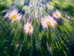 Promienie słoneczne