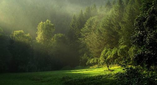 Przebłysk światła