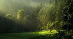 Przebłysk światła