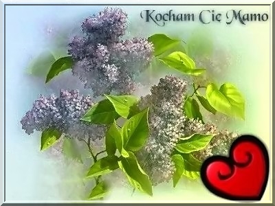 Kocham Cie mamo !