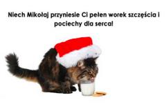 Niech mikołaj przyniesie...
