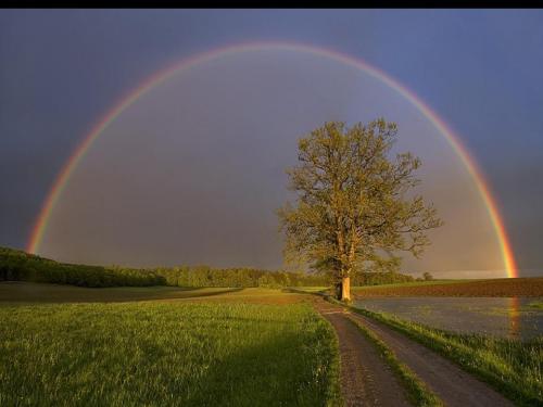 Piękna tęcza