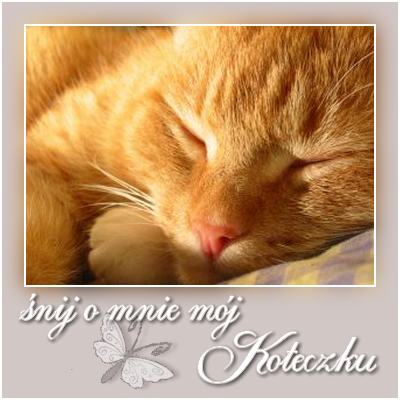 Śnij o mnie mój koteczku