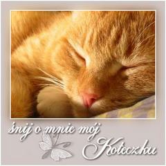 Śnij o mnie mój koteczku