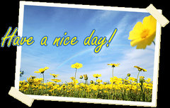 Have a nice day