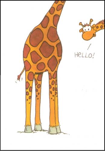 Hello ! żyrafa