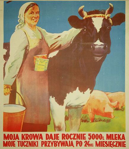 Moja krowa daje rocznie...