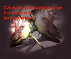 Człowiek jeżeli zamierza żyć...