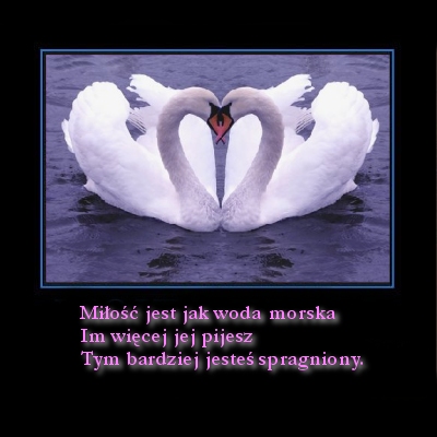 Miłość jest jak woda morska...