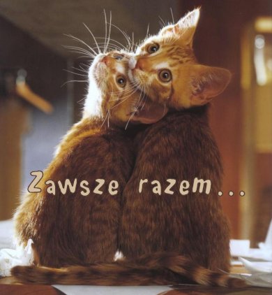 Zawsze razem