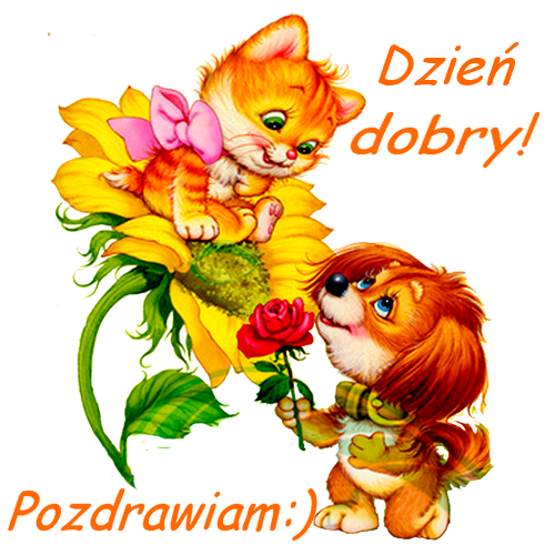 Dzień dobry. Pozdrawiam