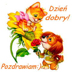 Dzień dobry. Pozdrawiam