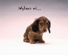 Wybacz mi...