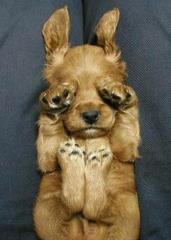 Już się schowałem