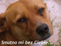 Smutno mi bez Ciebie...